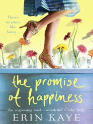 бесплатно читать книгу THE PROMISE OF HAPPINESS автора Erin Kaye