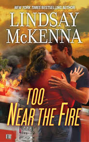 бесплатно читать книгу Too Near The Fire автора Lindsay McKenna