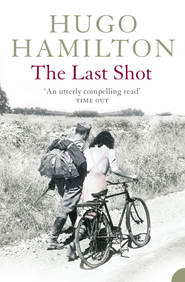бесплатно читать книгу The Last Shot автора Hugo Hamilton