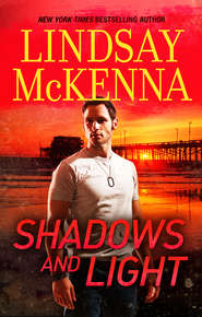 бесплатно читать книгу Shadows And Light автора Lindsay McKenna