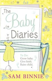 бесплатно читать книгу The Baby Diaries автора Sam Binnie