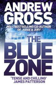бесплатно читать книгу The Blue Zone автора Andrew Gross