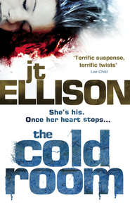 бесплатно читать книгу The Cold Room автора J.T. Ellison