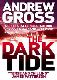 бесплатно читать книгу The Dark Tide автора Andrew Gross