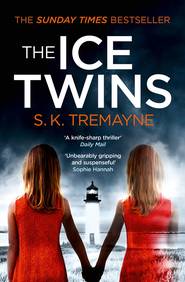 бесплатно читать книгу The Ice Twins автора S.K. Tremayne