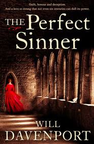 бесплатно читать книгу The Perfect Sinner автора Will Davenport