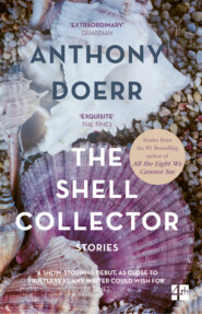 бесплатно читать книгу The Shell Collector автора Anthony Doerr