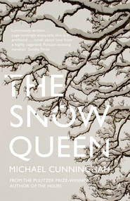 бесплатно читать книгу The Snow Queen автора Michael Cunningham