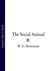 бесплатно читать книгу The Social Animal автора W. Runciman