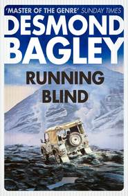 бесплатно читать книгу Running Blind автора Desmond Bagley
