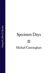бесплатно читать книгу Specimen Days автора Michael Cunningham