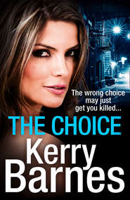 бесплатно читать книгу The Choice автора Kerry Barnes