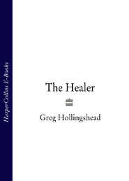 бесплатно читать книгу The Healer автора Greg Hollingshead