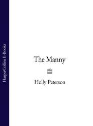 бесплатно читать книгу The Manny автора Holly Peterson