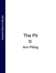 бесплатно читать книгу The Pit автора Ann Pilling