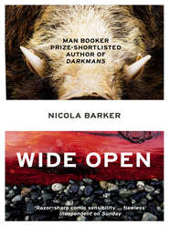 бесплатно читать книгу Wide Open автора Nicola Barker
