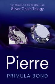 бесплатно читать книгу Pierre автора Primula Bond