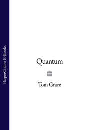 бесплатно читать книгу Quantum автора Tom Grace