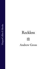 бесплатно читать книгу Reckless автора Andrew Gross