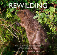 бесплатно читать книгу Rewilding автора David Woodfall