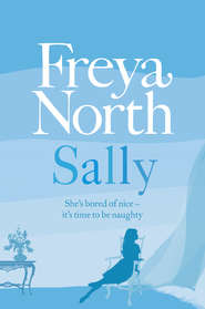 бесплатно читать книгу Sally автора Freya North