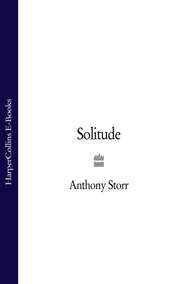 бесплатно читать книгу Solitude автора Anthony Storr