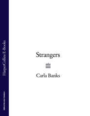 бесплатно читать книгу Strangers автора Danuta Reah