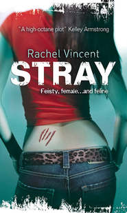 бесплатно читать книгу Stray автора Rachel Vincent