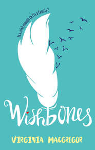 бесплатно читать книгу Wishbones автора Virginia Macgregor