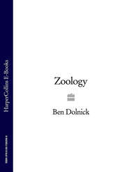 бесплатно читать книгу Zoology автора Ben Dolnick