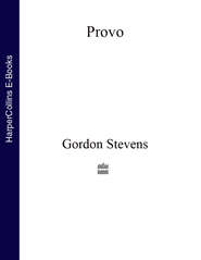 бесплатно читать книгу Provo автора Gordon Stevens