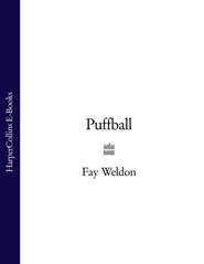 бесплатно читать книгу Puffball автора Fay Weldon