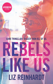 бесплатно читать книгу Rebels Like Us автора Liz Reinhardt