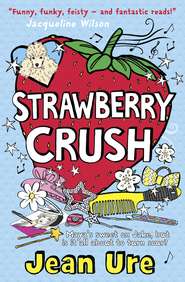 бесплатно читать книгу Strawberry Crush автора Jean Ure