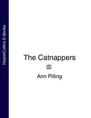 бесплатно читать книгу The Catnappers автора Ann Pilling