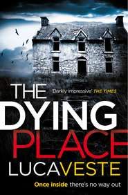 бесплатно читать книгу The Dying Place автора Luca Veste