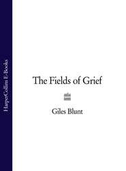бесплатно читать книгу The Fields of Grief автора Giles Blunt