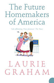 бесплатно читать книгу The Future Homemakers of America автора Laurie Graham