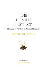 бесплатно читать книгу The Homing Instinct: Meaning and Mystery in Animal Migration автора Bernd Heinrich