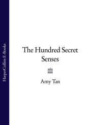 бесплатно читать книгу The Hundred Secret Senses автора Amy Tan