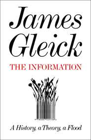 бесплатно читать книгу The Information: A History, a Theory, a Flood автора James Gleick