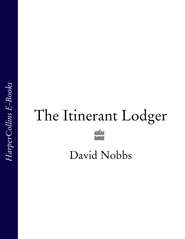 бесплатно читать книгу The Itinerant Lodger автора David Nobbs