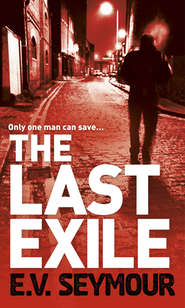 бесплатно читать книгу The Last Exile автора E.V. Seymour