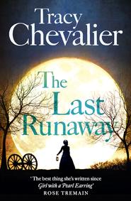 бесплатно читать книгу The Last Runaway автора Tracy Chevalier