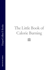 бесплатно читать книгу The Little Book of Calorie Burning автора  Коллектив авторов