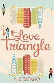 бесплатно читать книгу The Love Triangle автора Nic Tatano