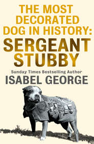 бесплатно читать книгу The Most Decorated Dog In History: Sergeant Stubby автора Isabel George