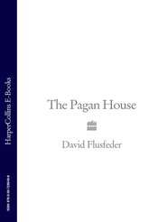 бесплатно читать книгу The Pagan House автора David Flusfeder