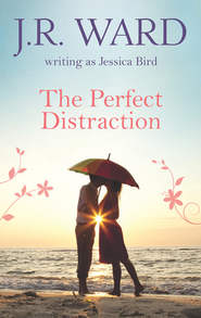 бесплатно читать книгу The Perfect Distraction автора Jessica Bird