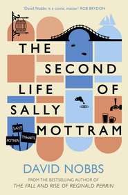 бесплатно читать книгу The Second Life of Sally Mottram автора David Nobbs